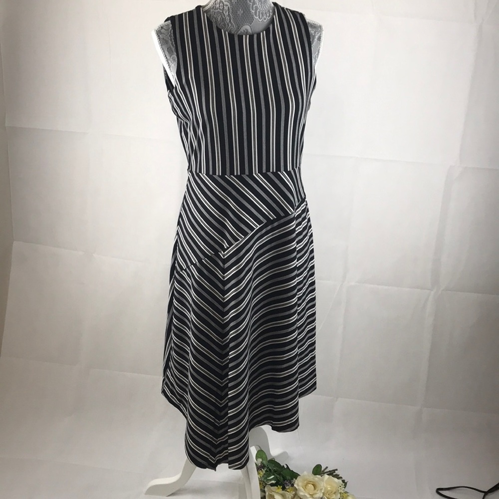 Brand  New  With tag Banana Republic dress .